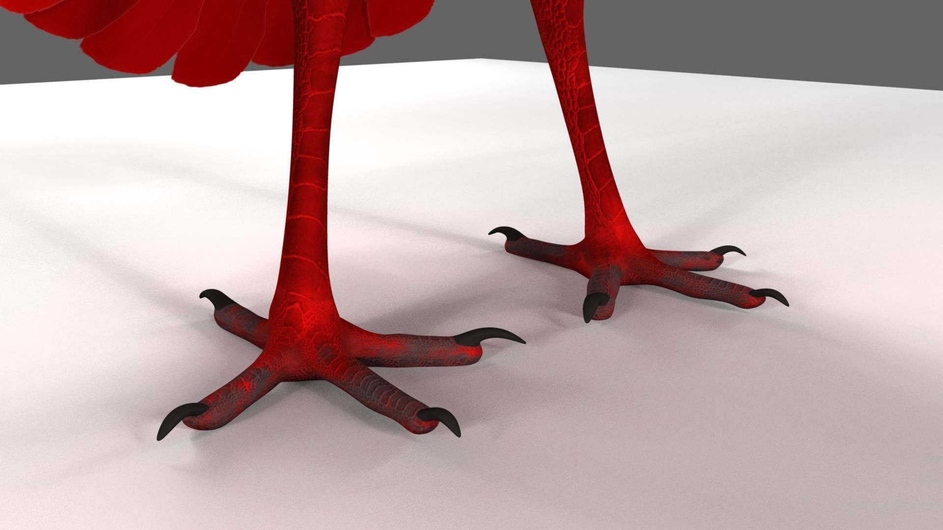 Scarlet-ibis Rigged 3D model_48