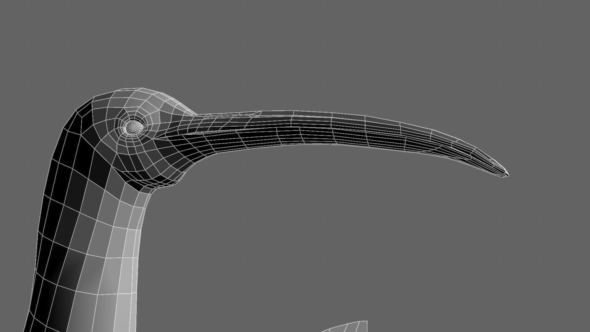 Scarlet-ibis Rigged 3D model_41