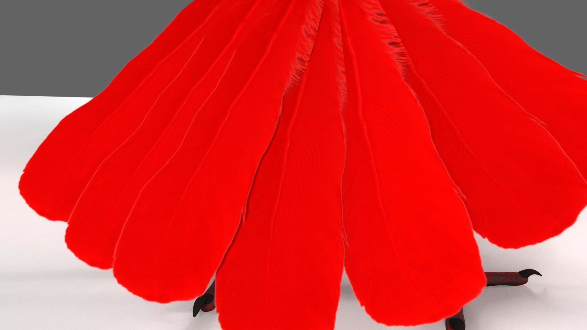 Scarlet-ibis Rigged 3D model_3