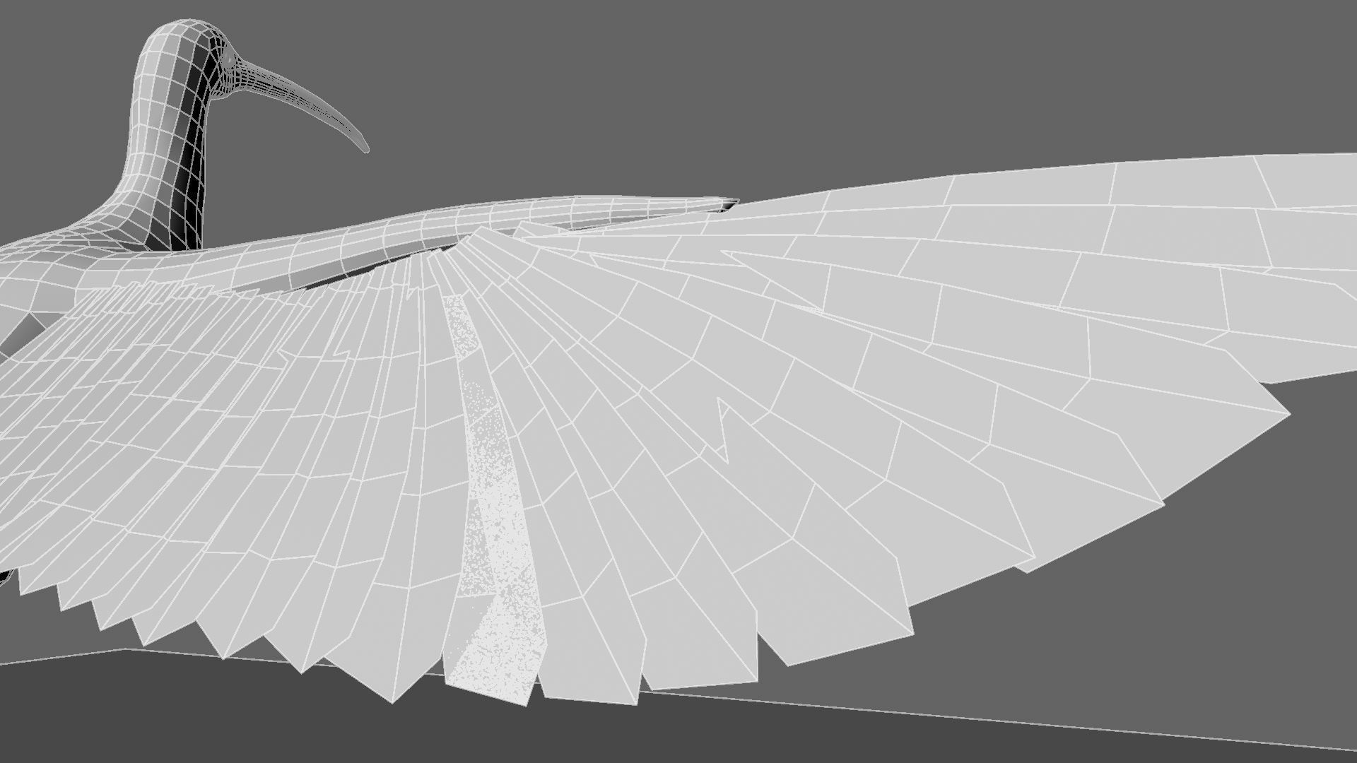 Scarlet-ibis Rigged 3D model_36