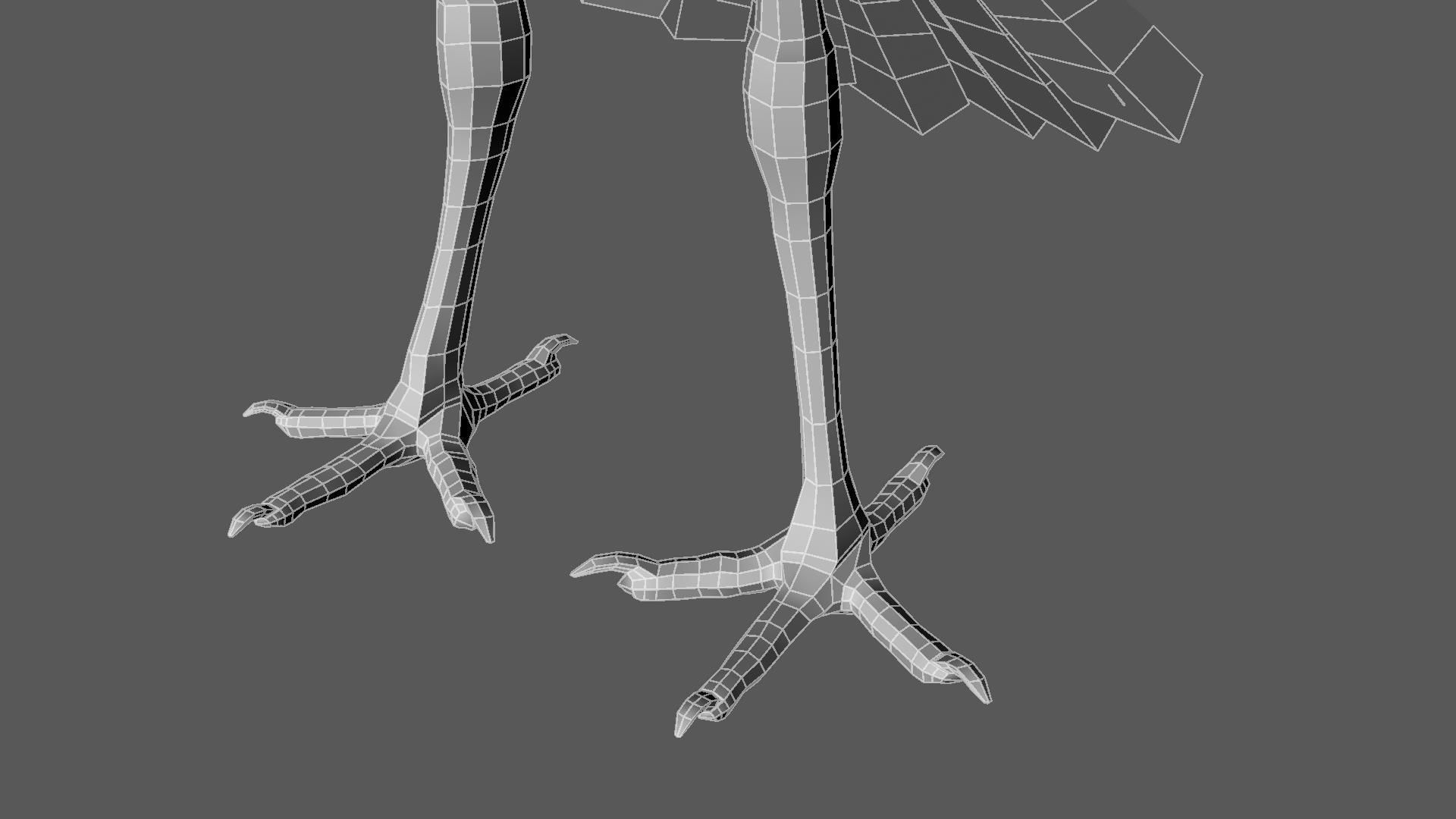 Scarlet-ibis Rigged 3D model_22