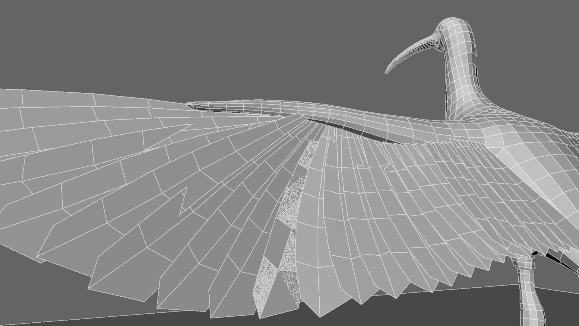 Scarlet-ibis Rigged 3D model_35