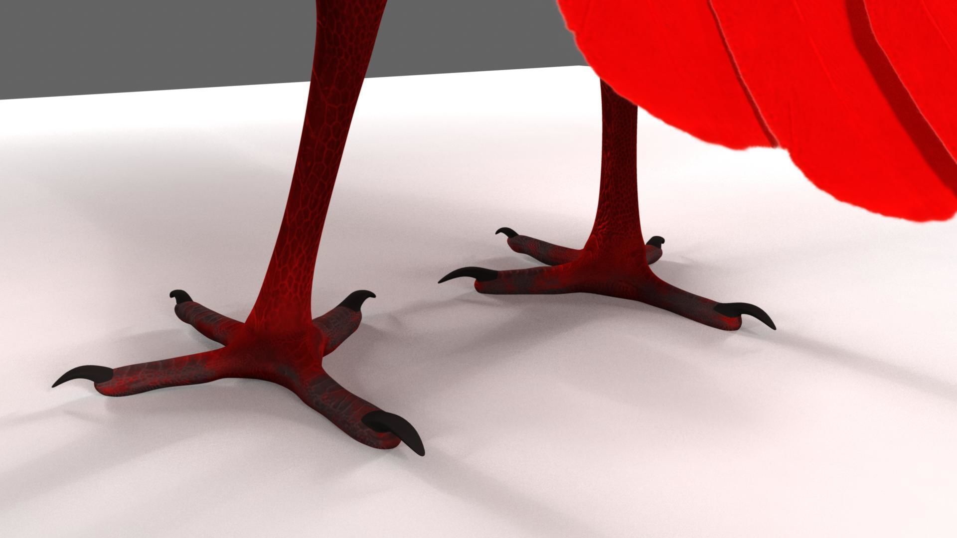 Scarlet-ibis Rigged 3D model_50