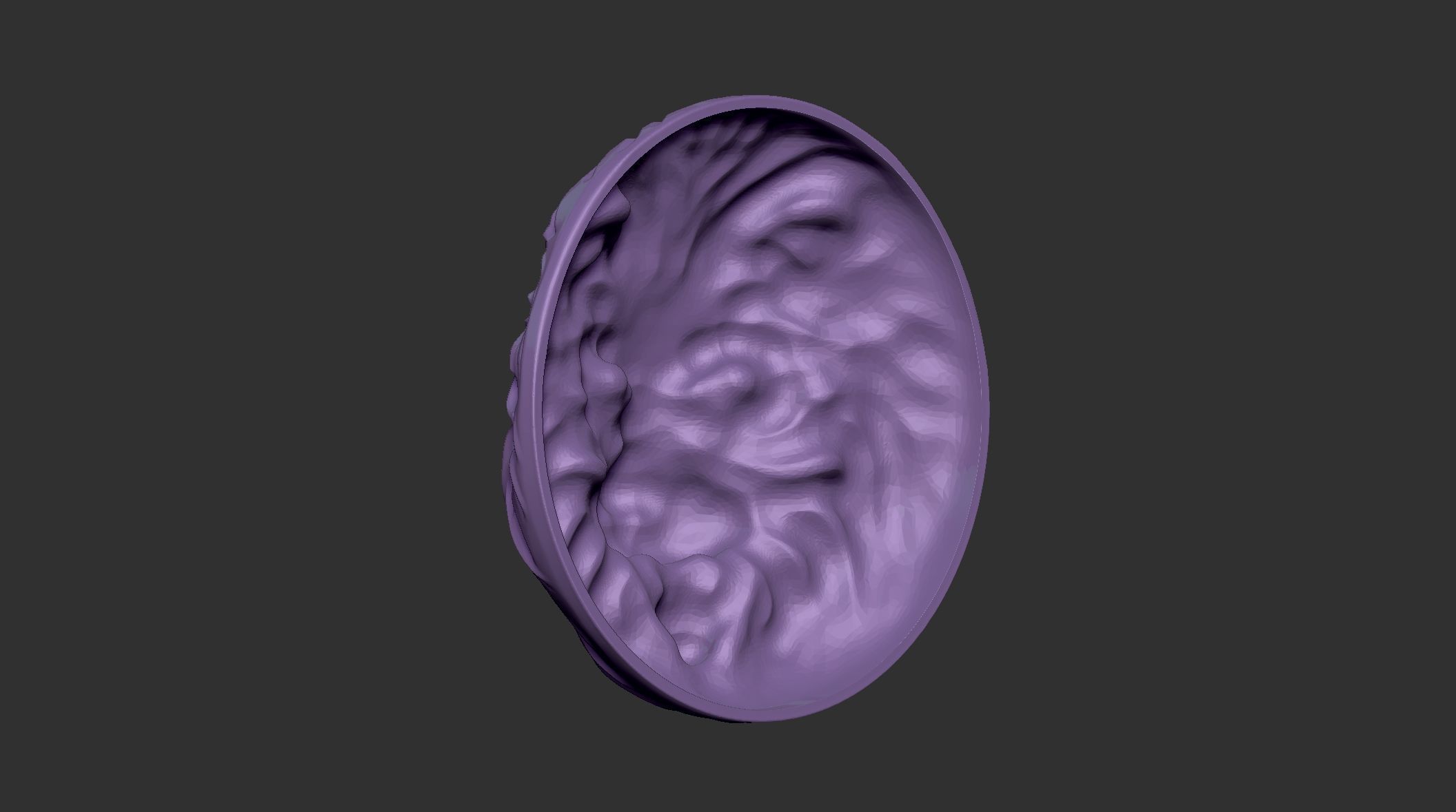 Roar of the Alpha 3D print model_2