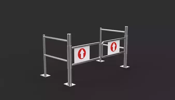 Automatic Swing Gate 3D model