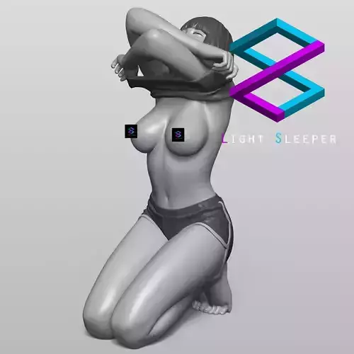 A Woman Changing Clothes 3D print model