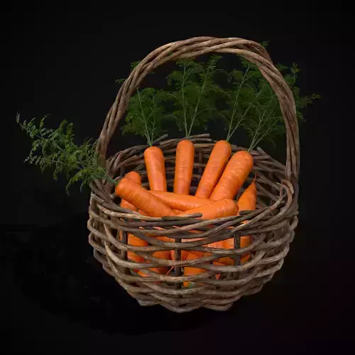 Carrot Basket