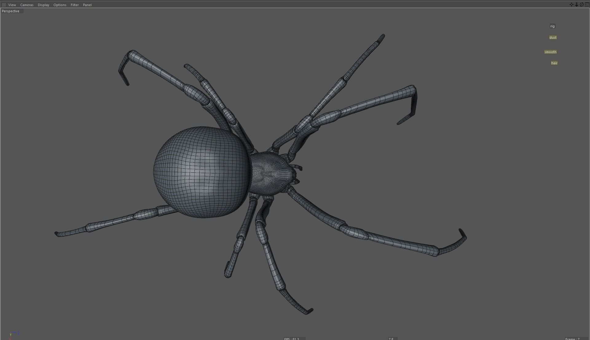 Black widow spider rigged and animated for Cinema 4d 3D model_16