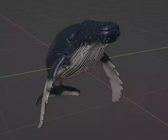 Realistic Humpback Whale Low-poly 3D model