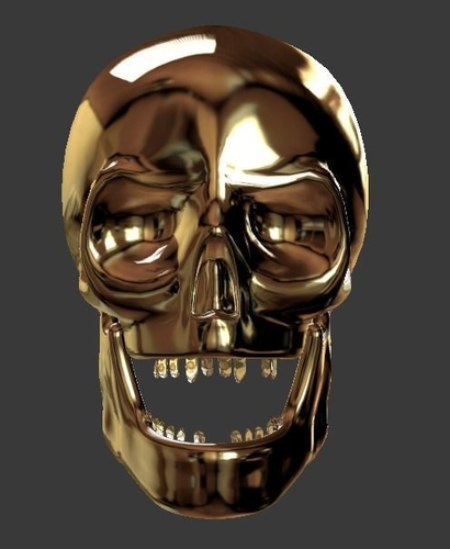 Skull High and Low Poly -Please Read Destription- Free low-poly 3D model