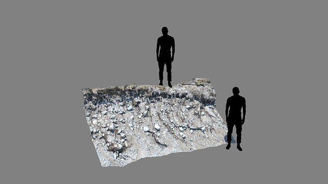 Alpine river gravel embankment with roots Low-poly 3D model