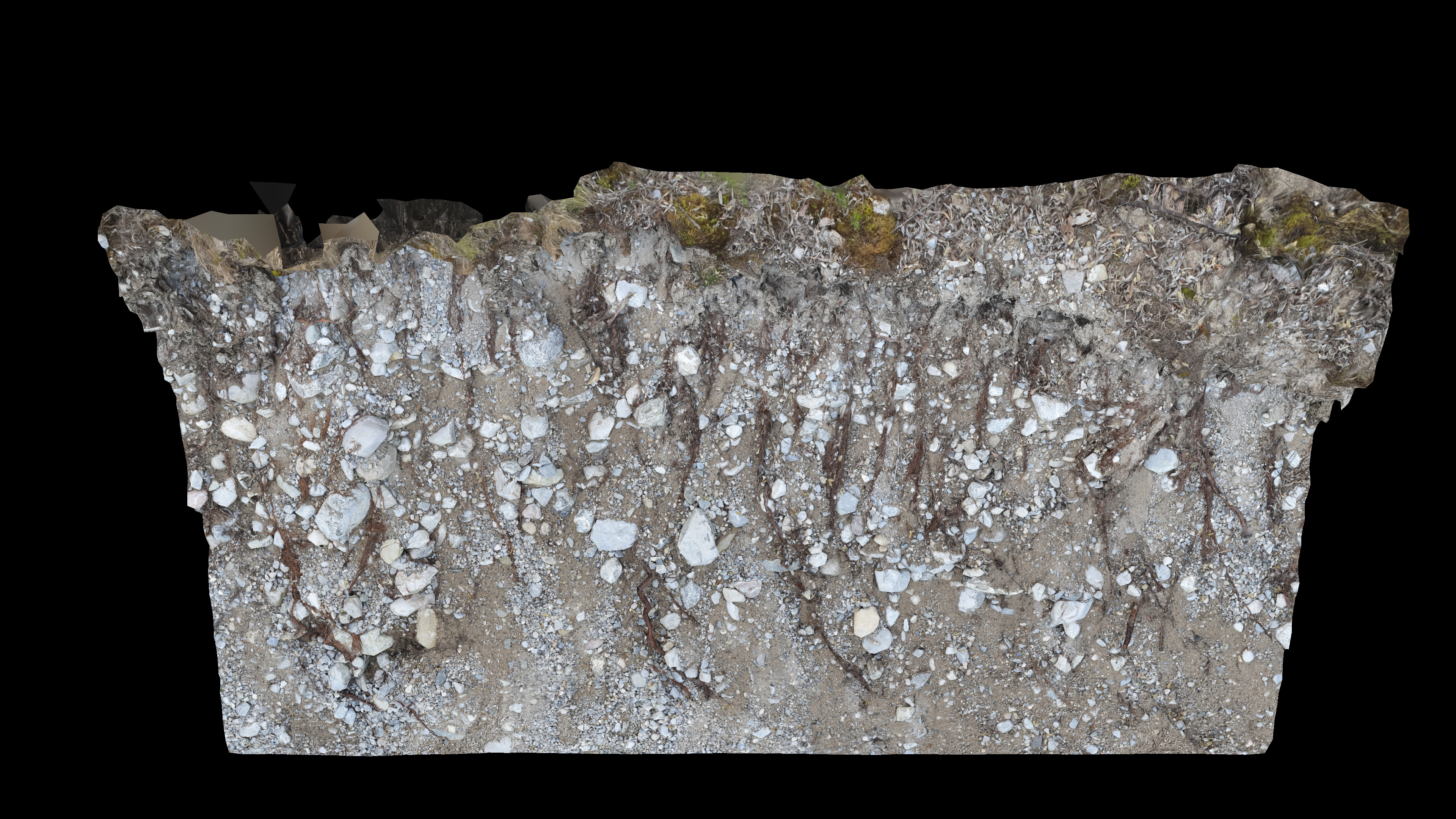 Alpine river gravel embankment with roots Low-poly 3D model_7