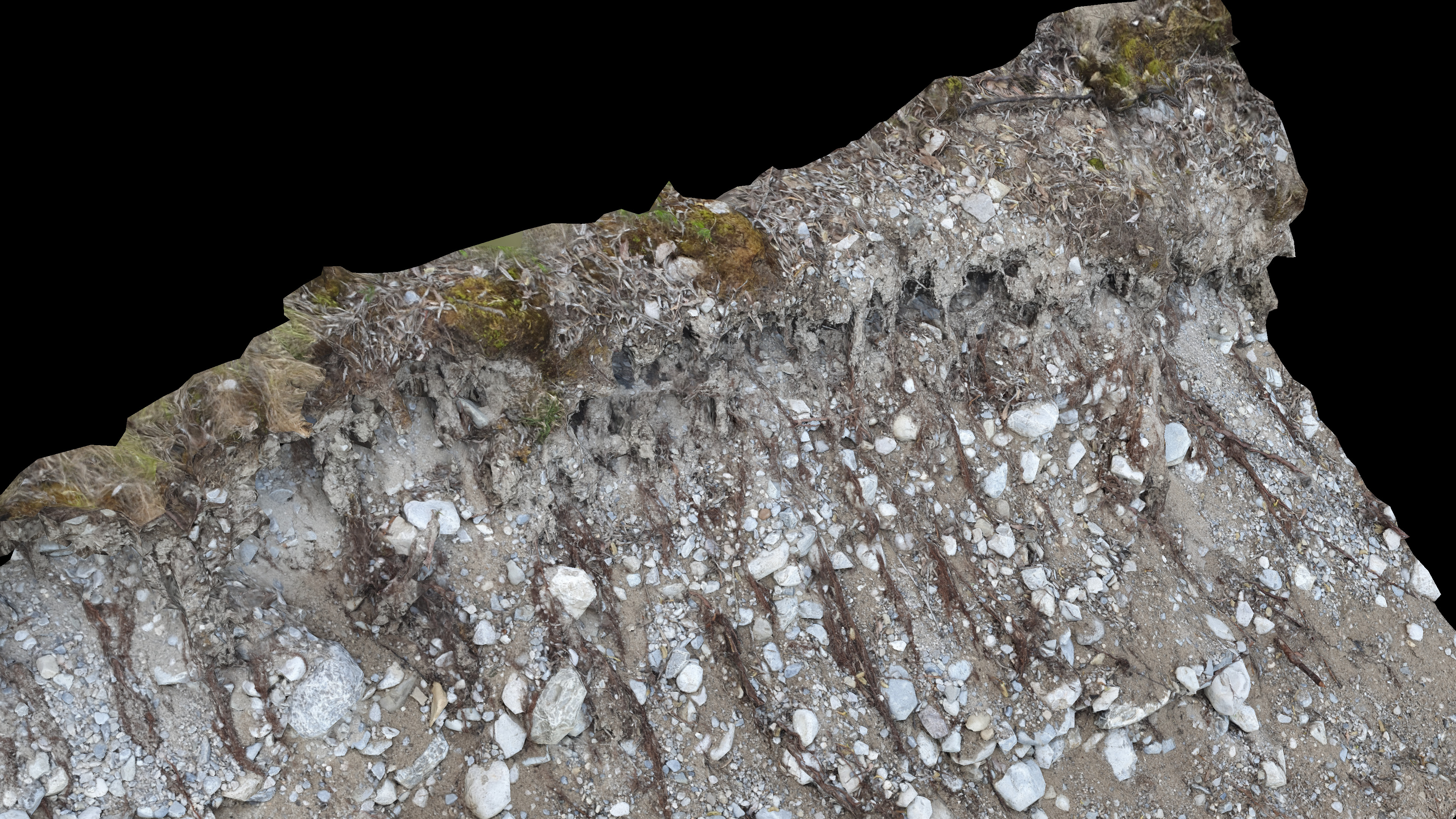 Alpine river gravel embankment with roots Low-poly 3D model_12