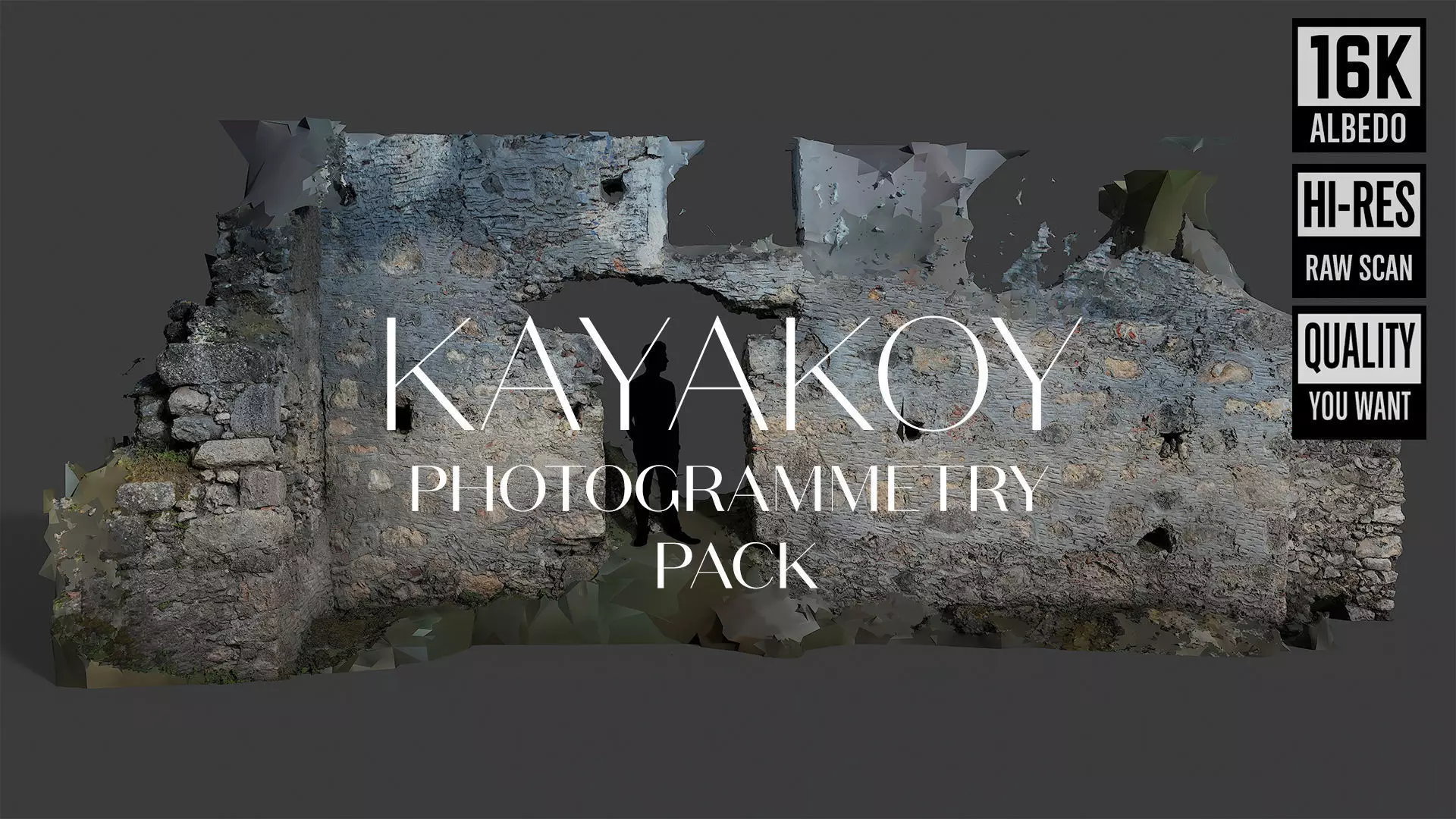 Abandoned House Ruined Part Scan - House Wall 3D model_0