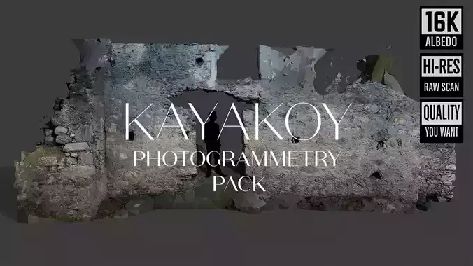 Abandoned House Ruined Part Scan - House Wall 3D model