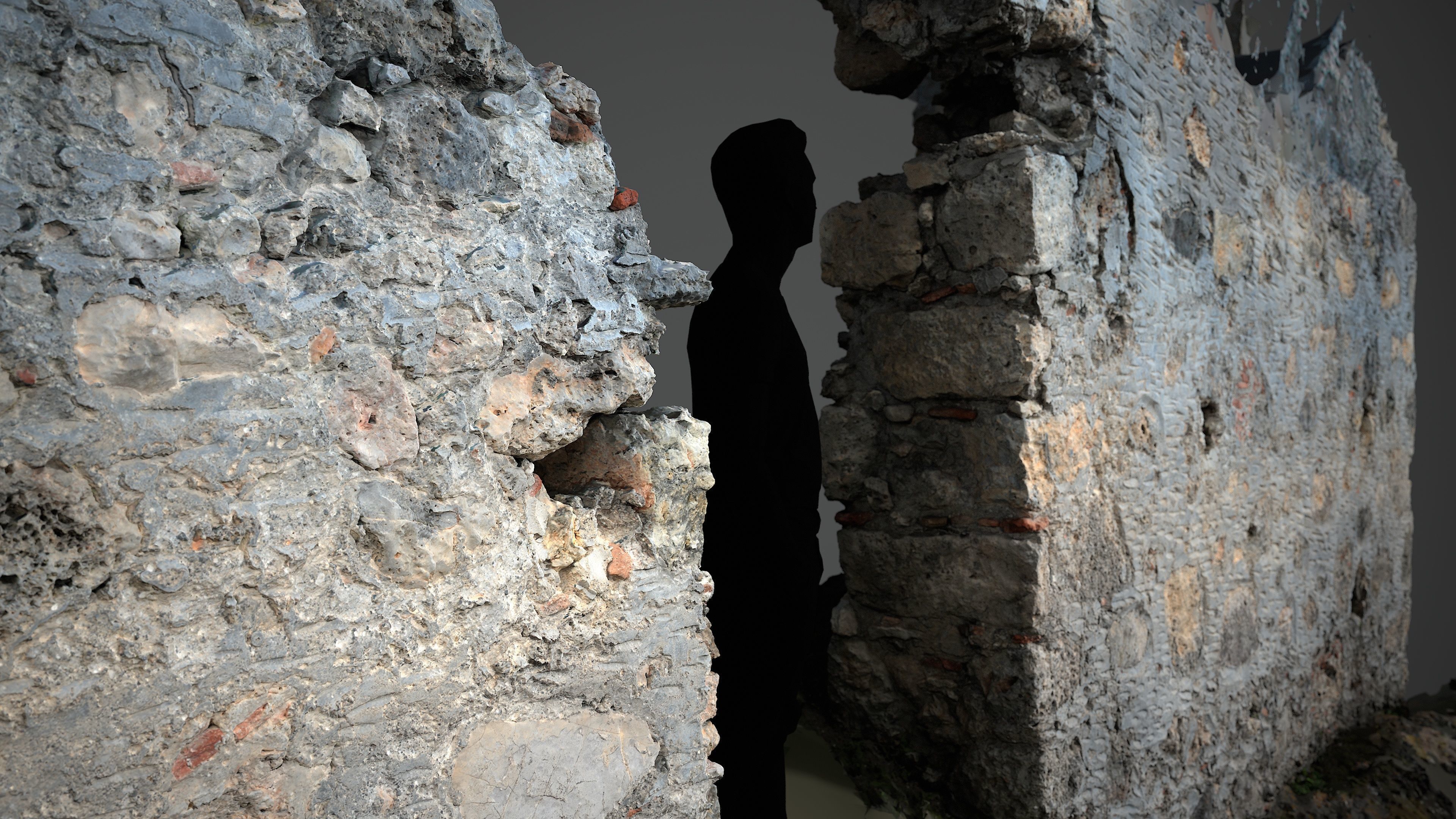 Abandoned House Ruined Part Scan - House Wall 3D model_6