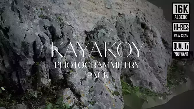 Abandoned House Ruined Part Scan - House Base Stones