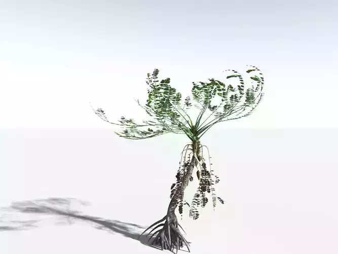 EVERYPlant Medullosa Noei 3D model