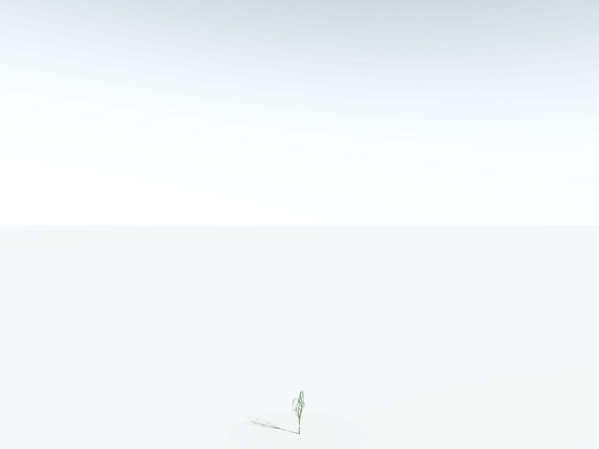 EVERYPlant Medullosa Noei 3D model_28