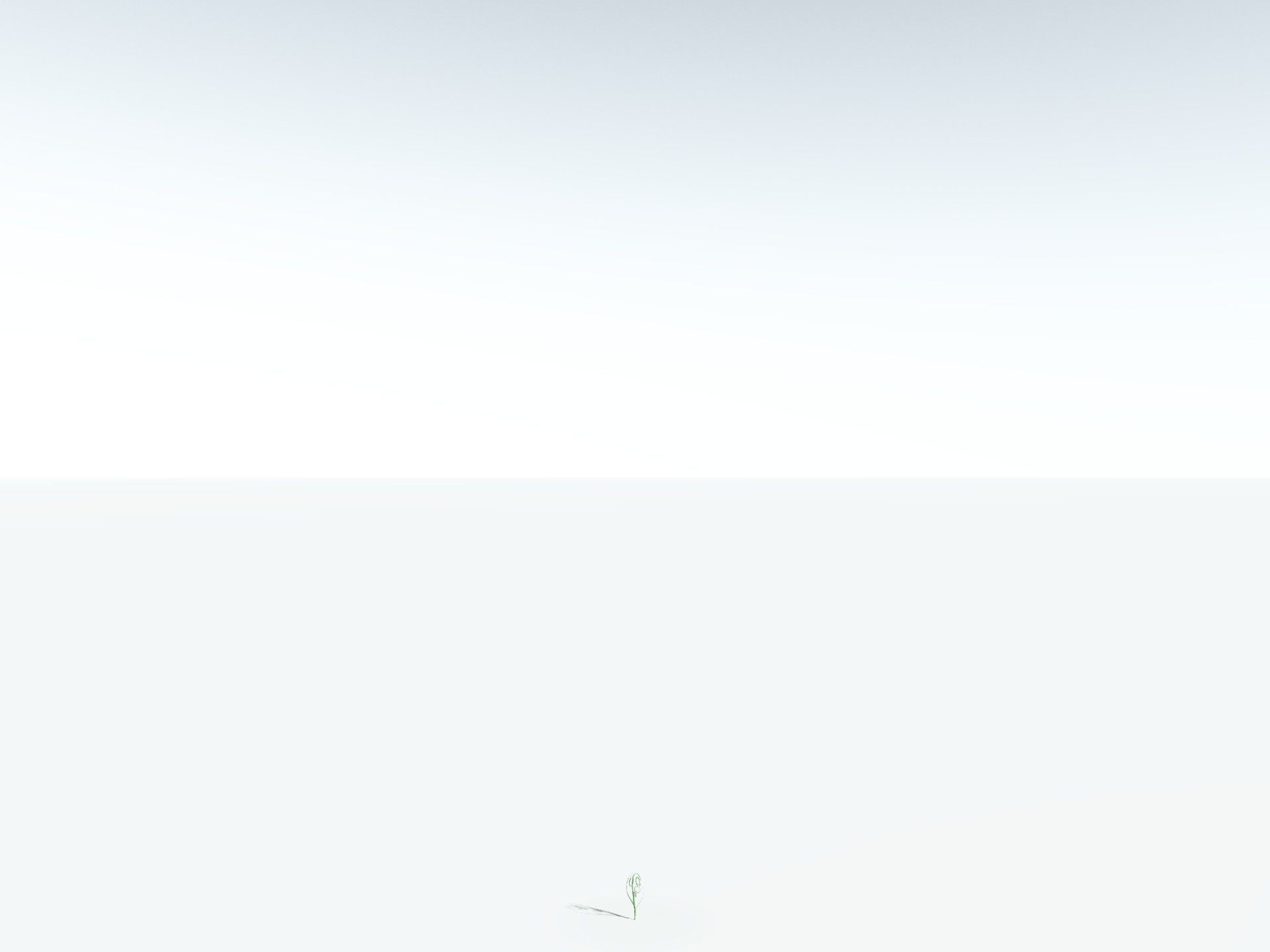 EVERYPlant Medullosa Noei 3D model_30