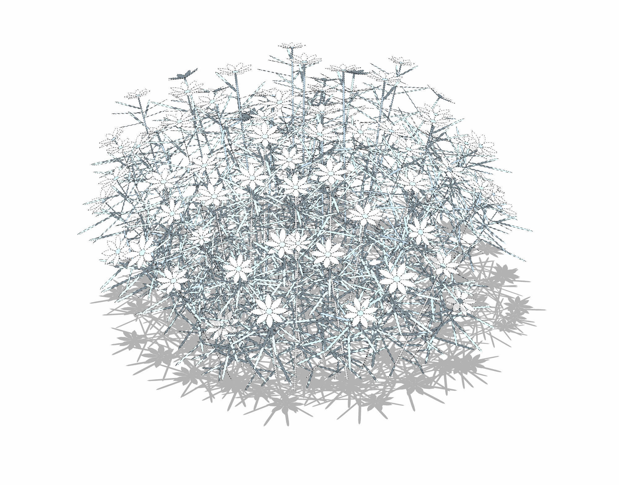 Plant Coreopsis Tickseed Low-poly 3D model_10