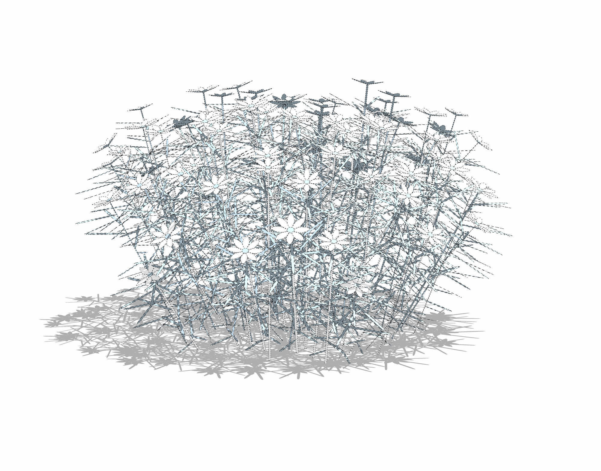 Plant Coreopsis Tickseed Low-poly 3D model_11