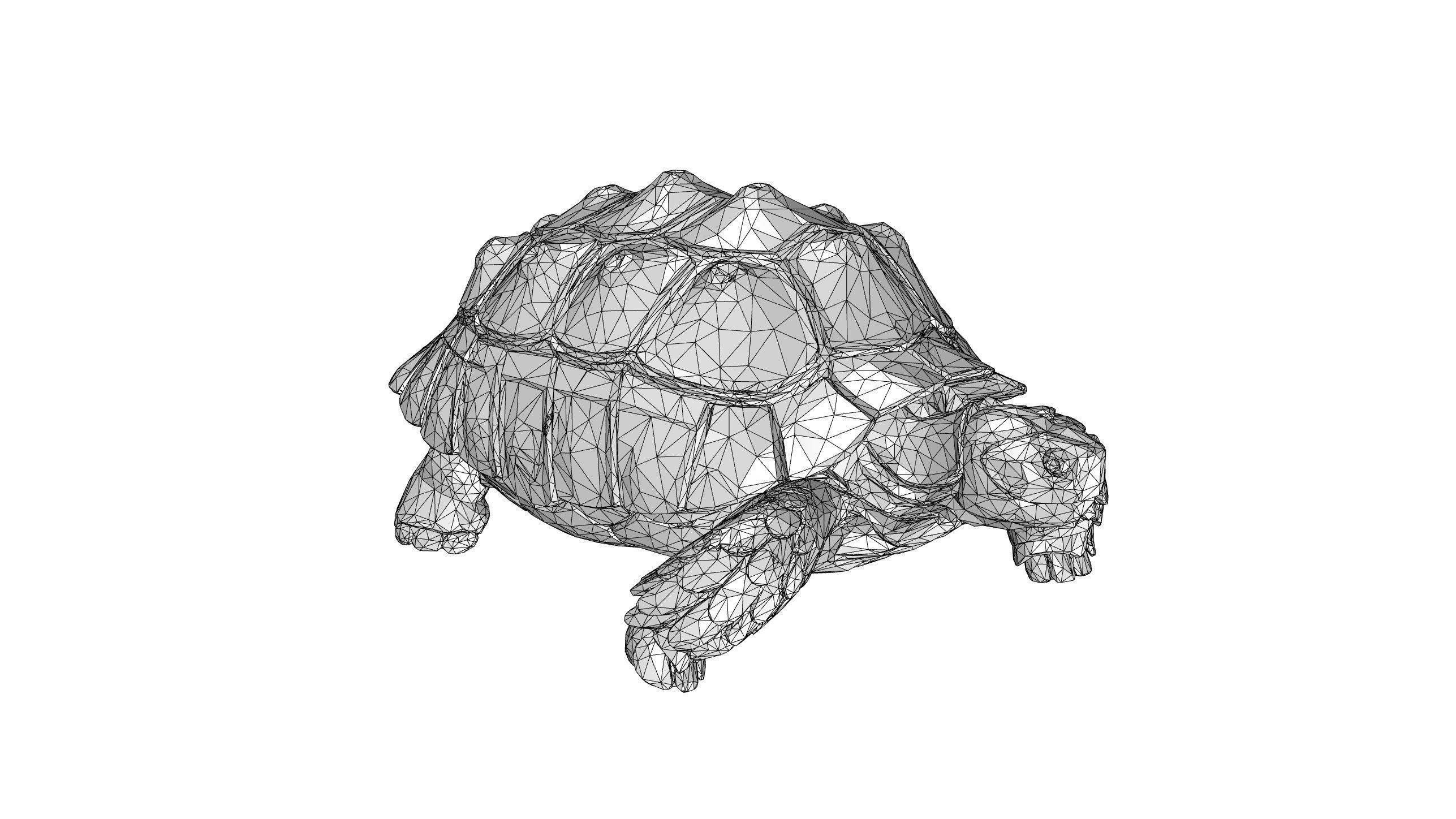 Tortoise Low-poly 3D model_7