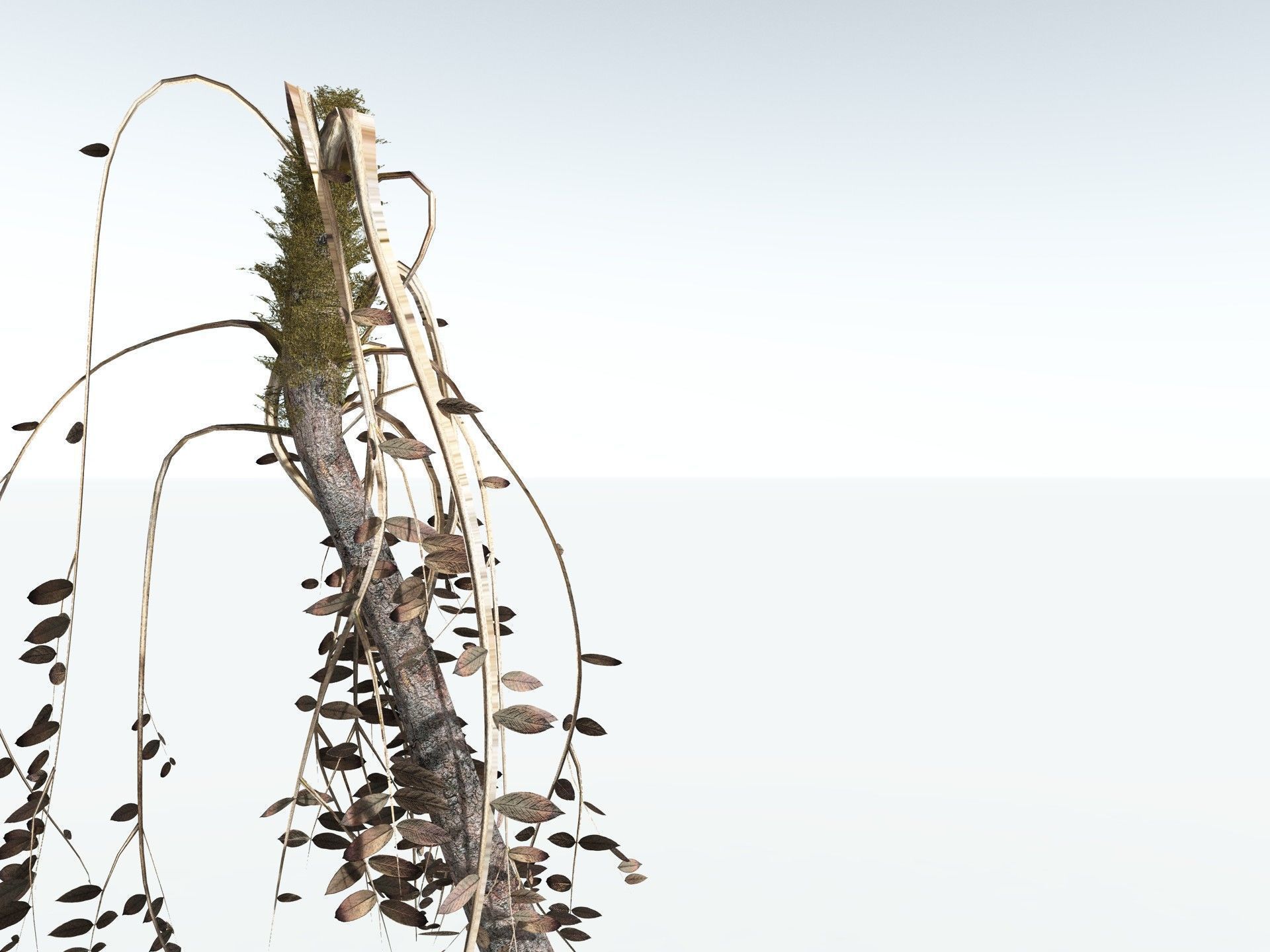 EVERYPlant Medullosa Noei LowPoly Low-poly 3D model_19