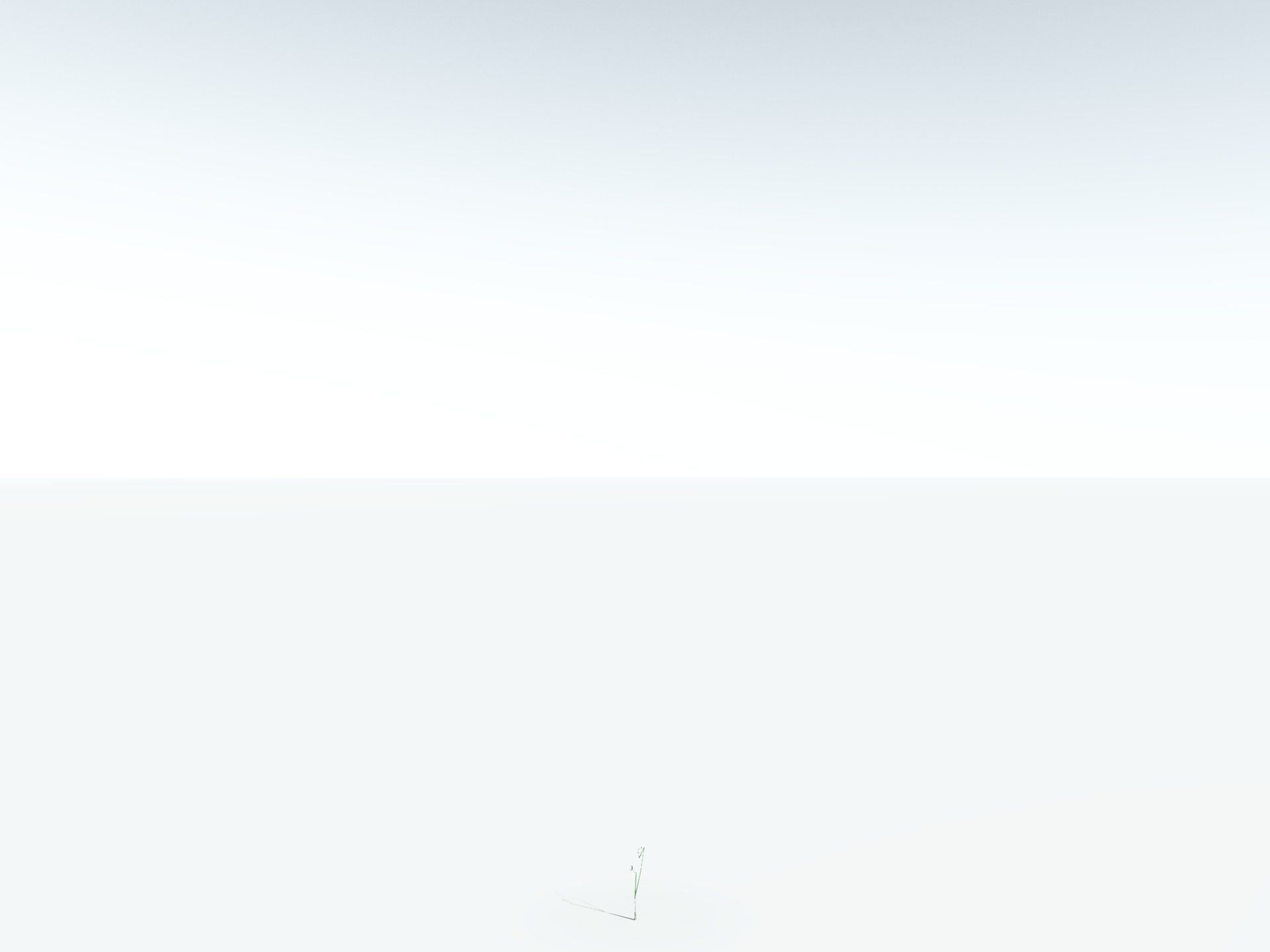 EVERYPlant Medullosa Noei LowPoly Low-poly 3D model_28