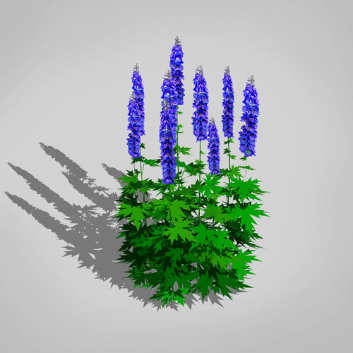 Plant Delphinium Low-poly 3D model