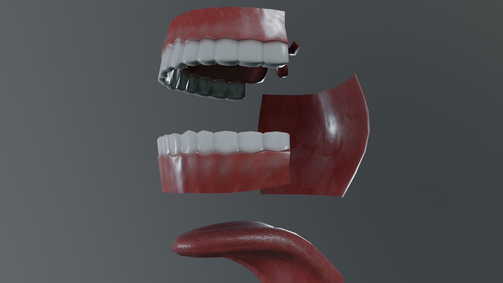 Teeth Model Lowpoly Game-Ready Low-poly 3D model_6