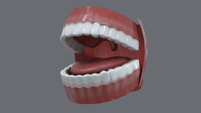 Teeth Model Lowpoly Game-Ready  Low-poly 3D model
