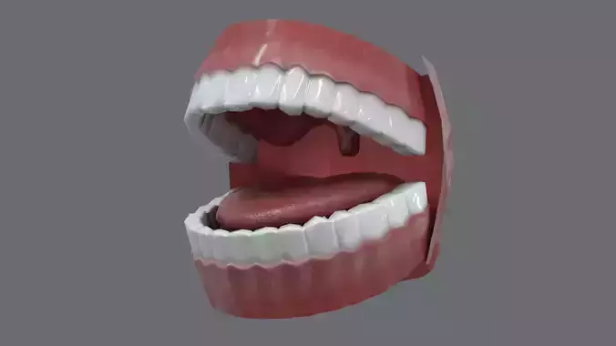Teeth Model Lowpoly Game-Ready Low-poly 3D model Teeth Model Lowpoly Game-Ready Low-poly 3D model