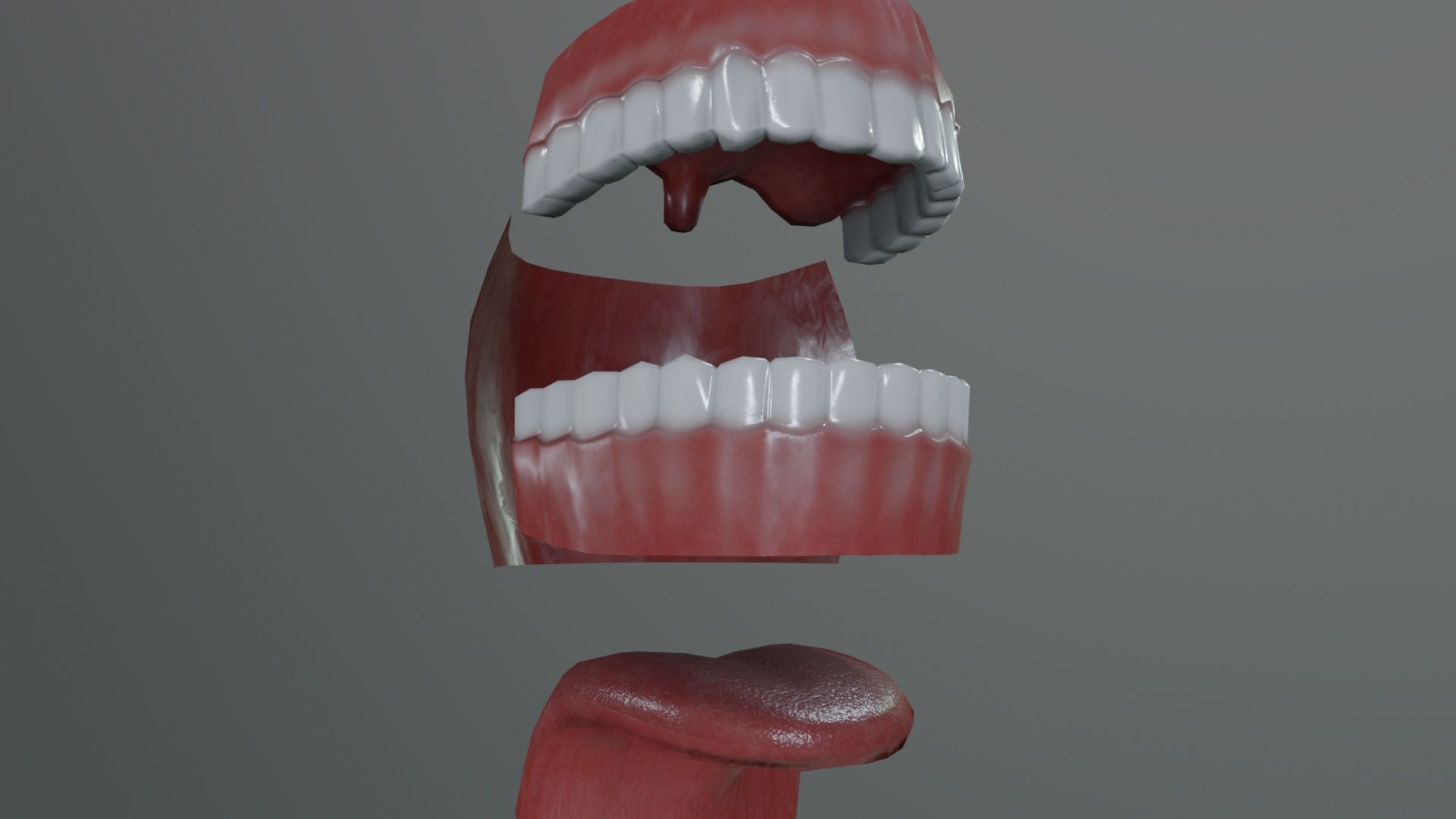 Teeth Model Lowpoly Game-Ready Low-poly 3D model_4