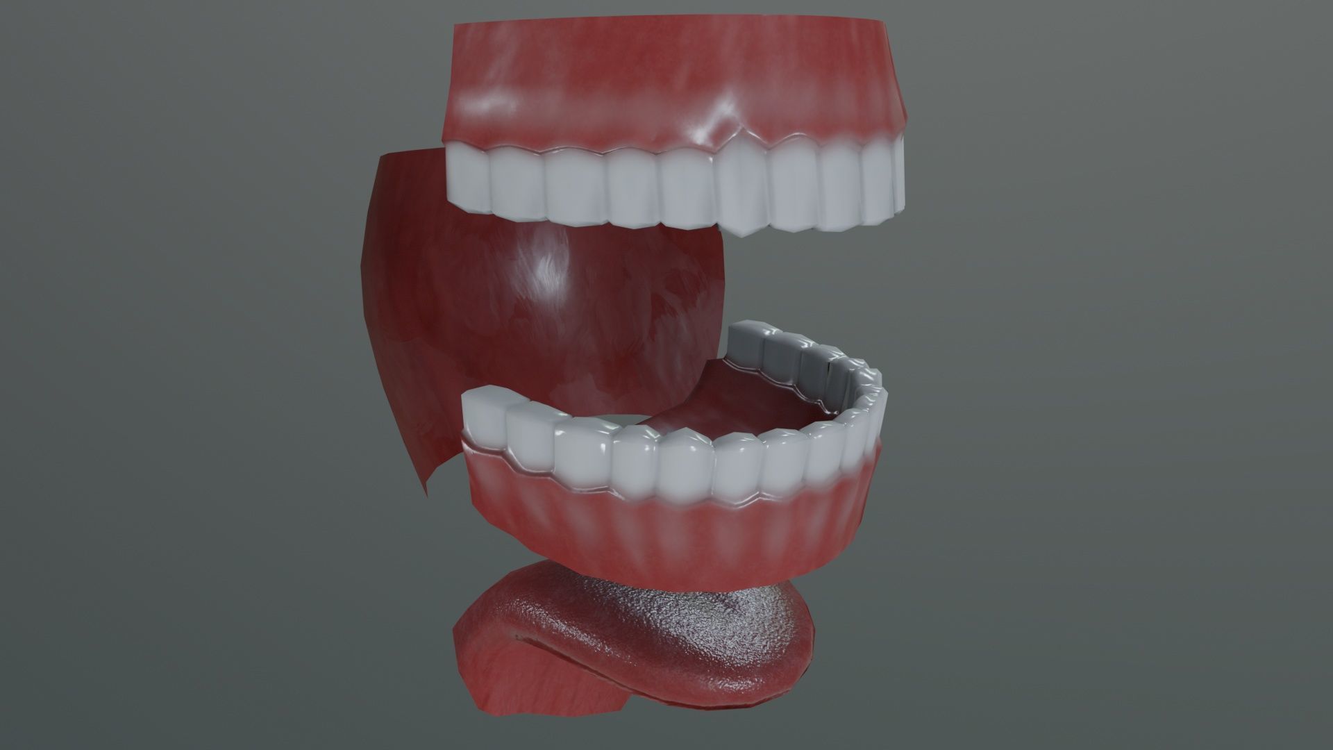 Teeth Model Lowpoly Game-Ready Low-poly 3D model_3