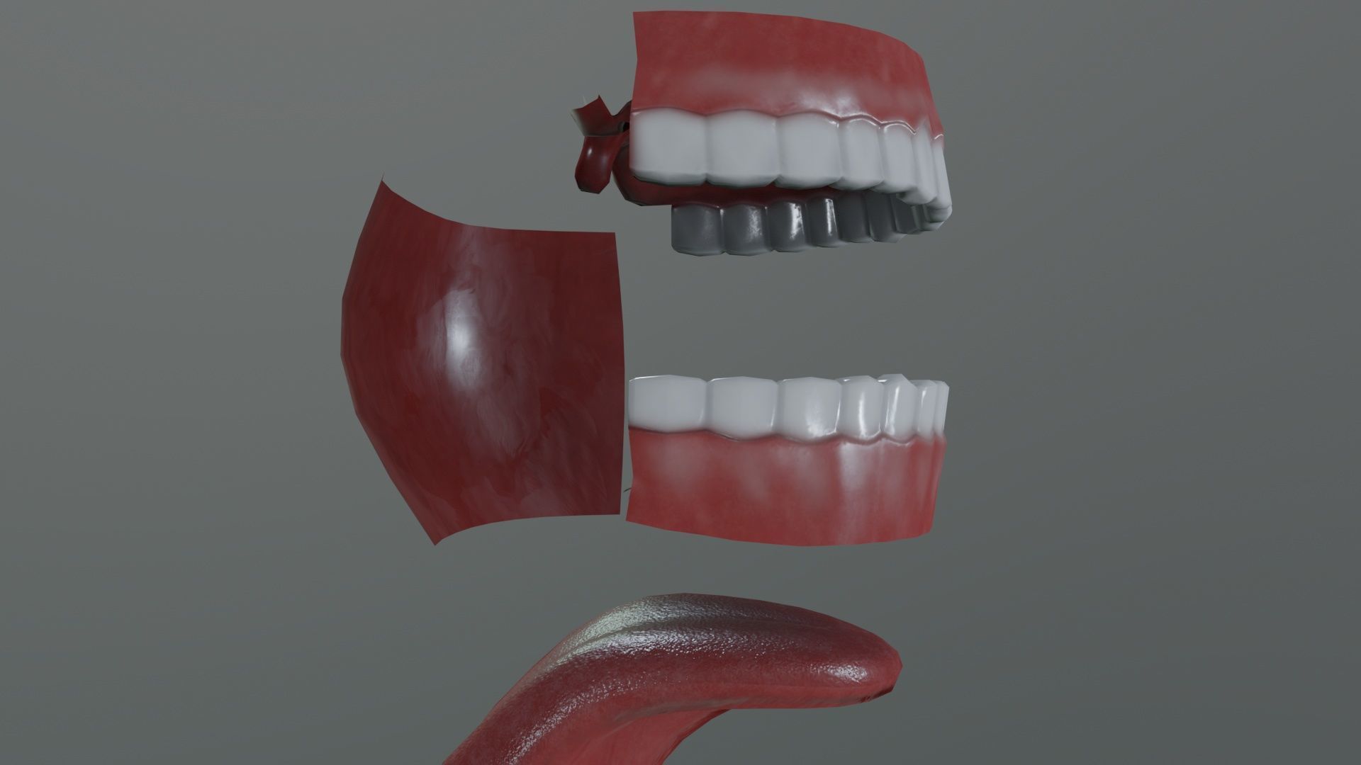 Teeth Model Lowpoly Game-Ready Low-poly 3D model_5