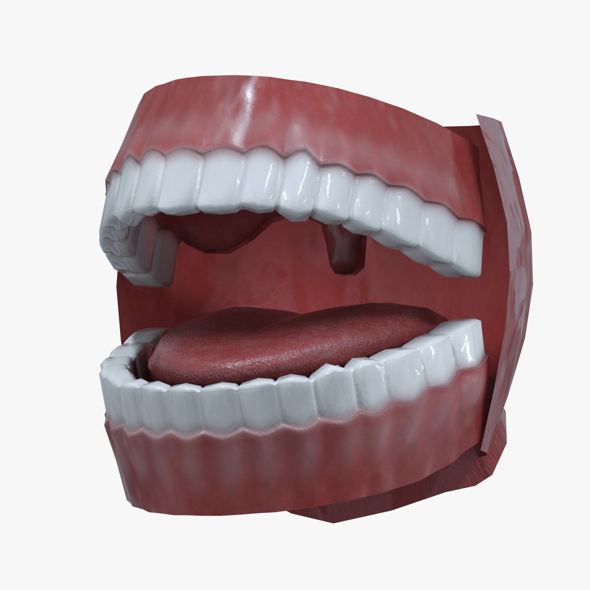 Teeth Model Lowpoly Game-Ready Low-poly 3D model_1