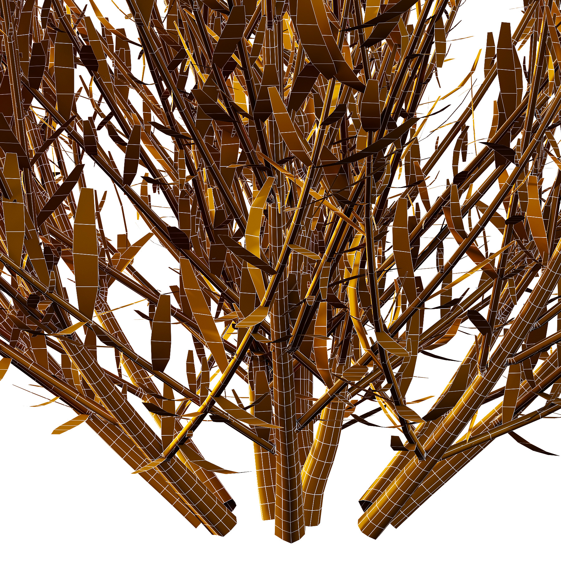 plant bush Flower Lavandula pedunculata 04 3D model_6