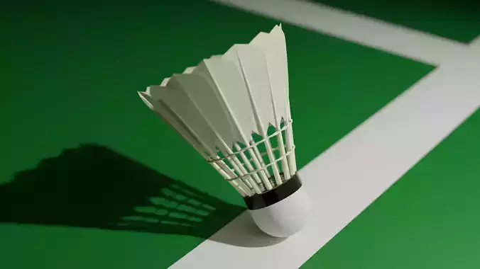 Badminton Ball 3D model