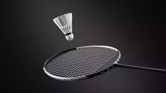 Customizable Badminton Set