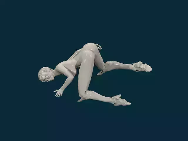 HENTAI NUDE GIRL  14