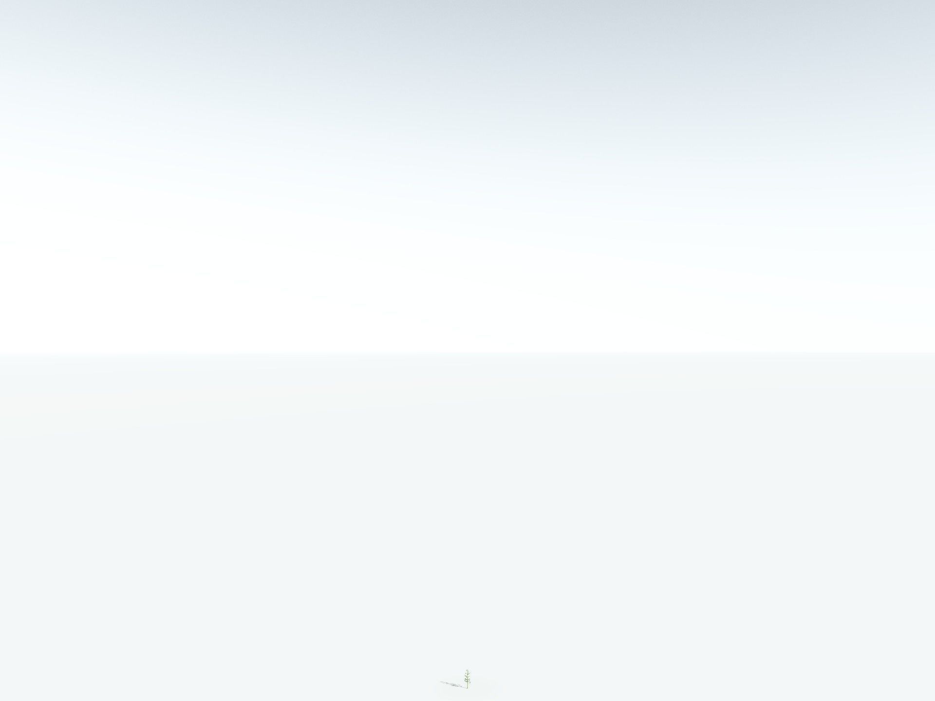 EVERYPlant Calamites Carinatus 3D model_28