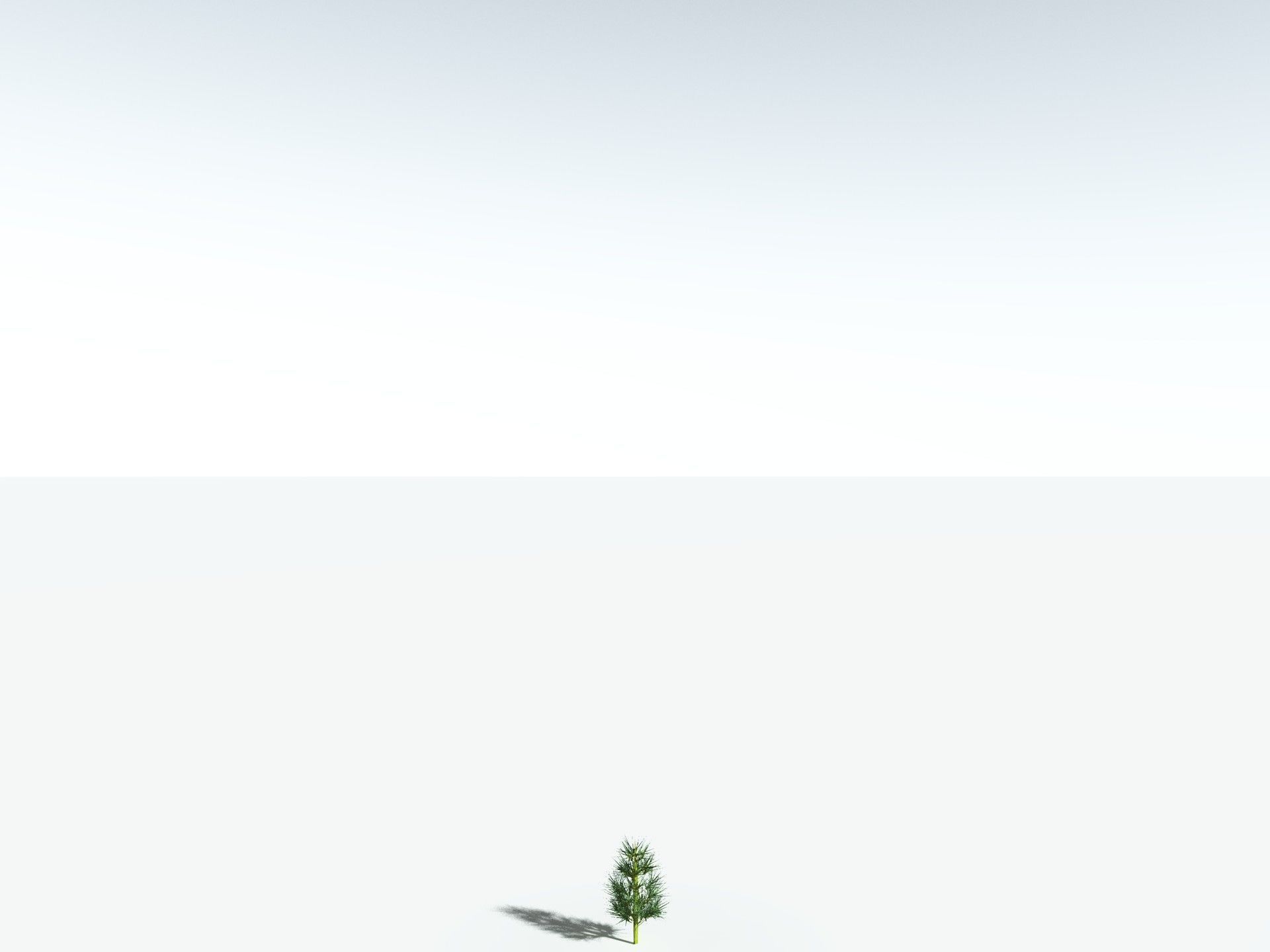 EVERYPlant Calamites Carinatus 3D model_31