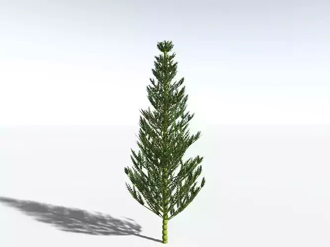 EVERYPlant Calamites Carinatus 3D model