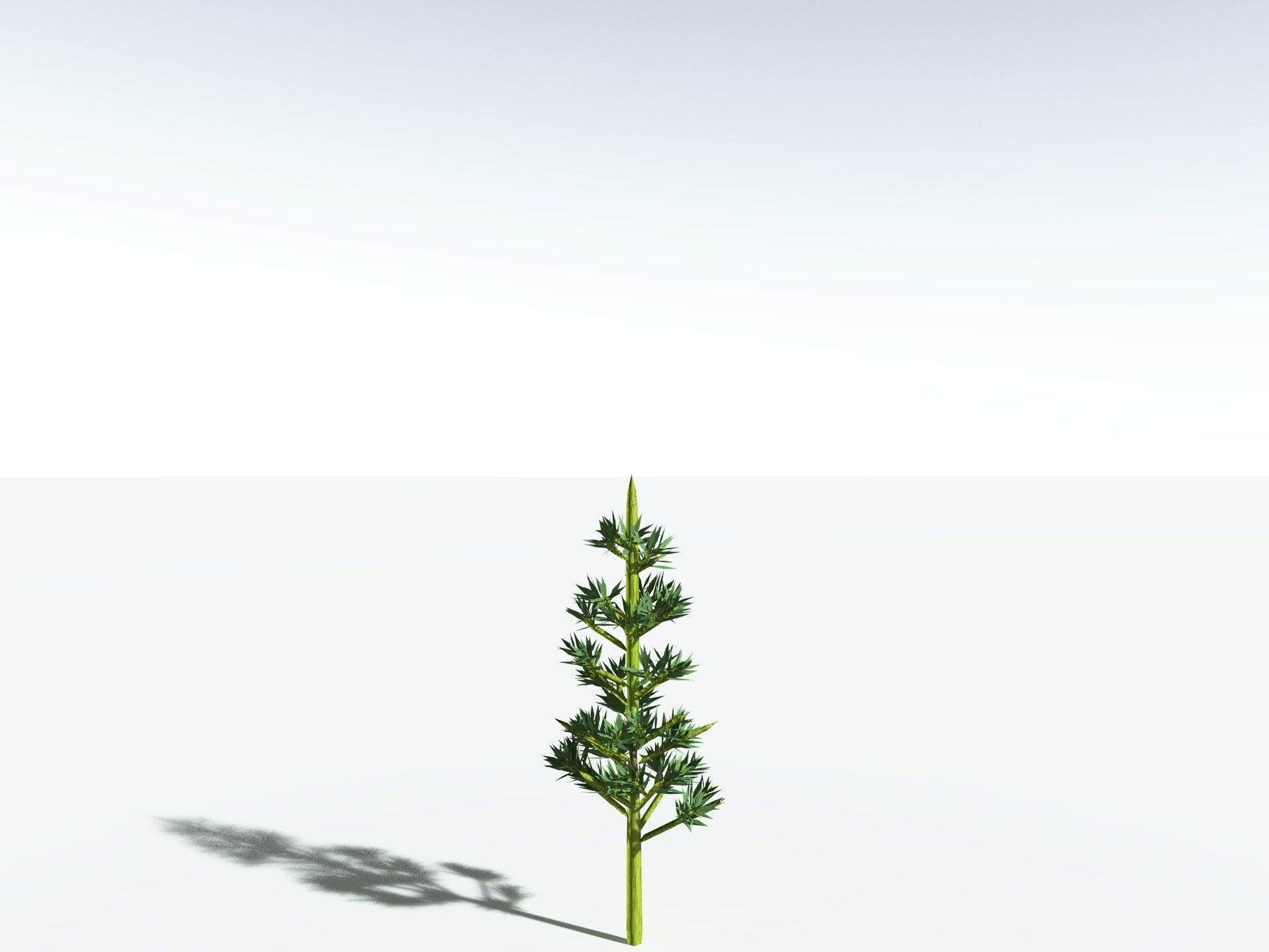 EVERYPlant Calamites Carinatus 3D model_29