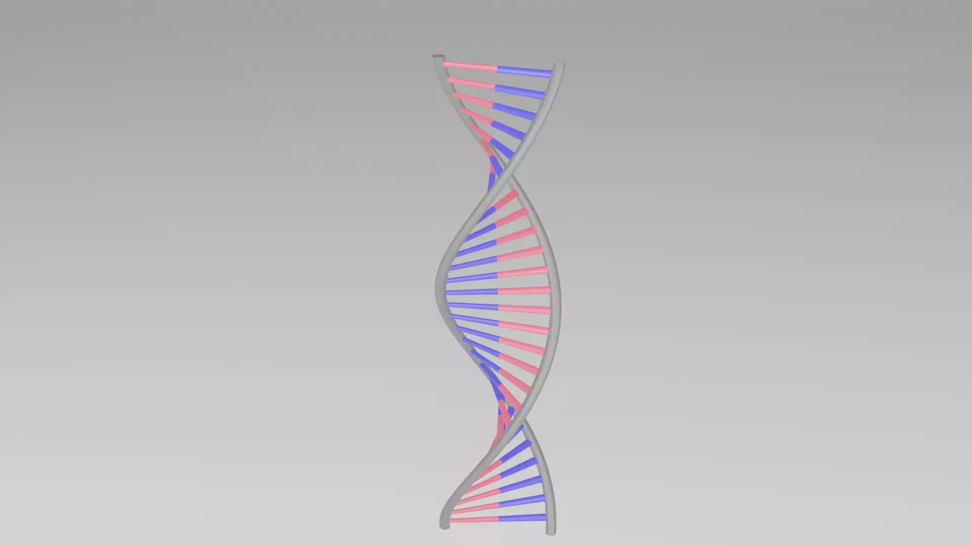 DNA 3D model 3D model