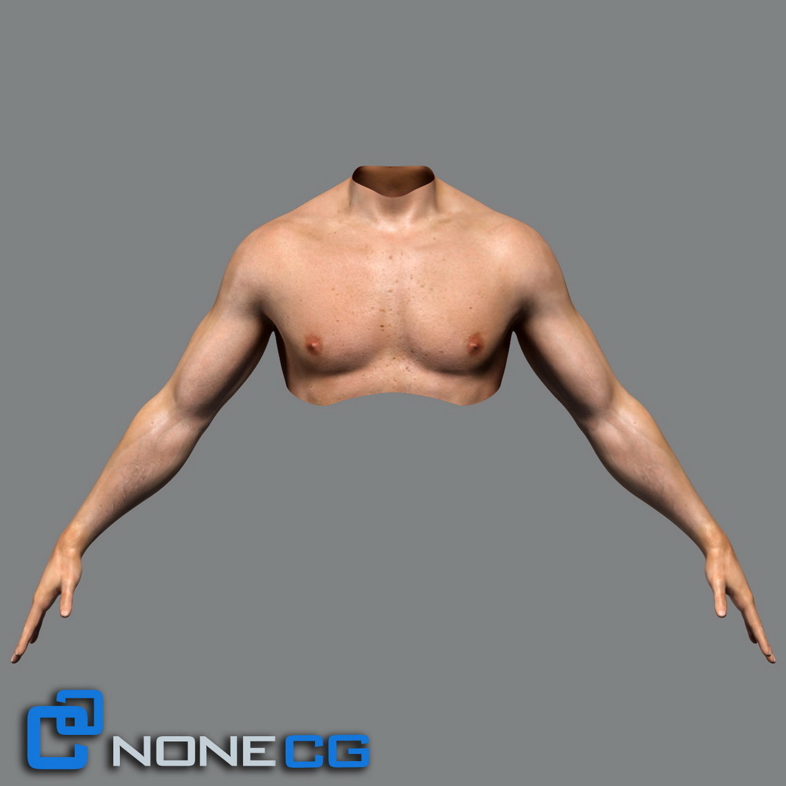 Adult Male Torso Rigged 3D model_2