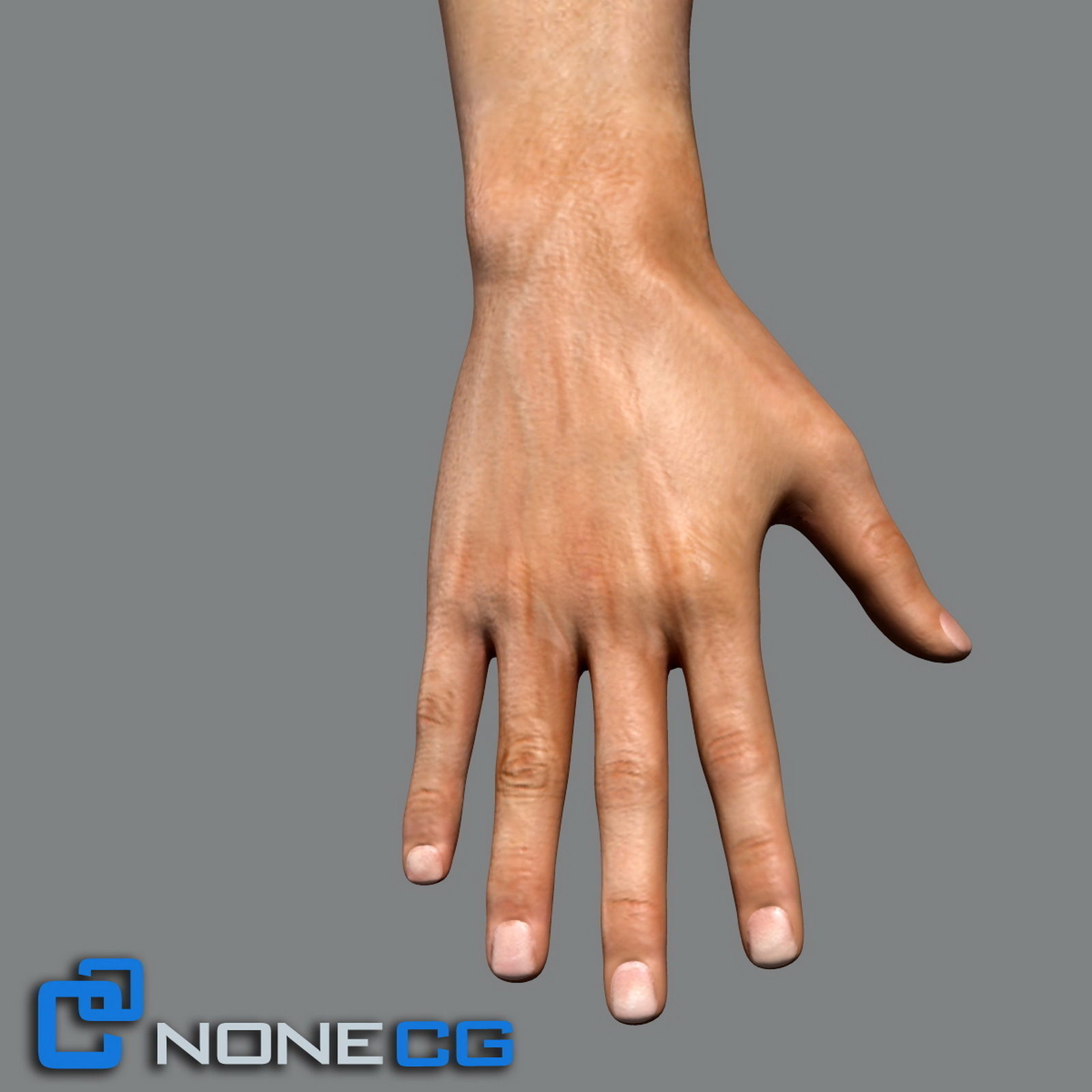 Adult Male Torso Rigged 3D model_5