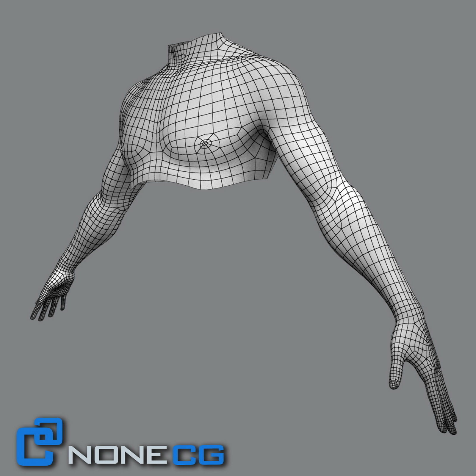 Adult Male Torso Rigged 3D model_4