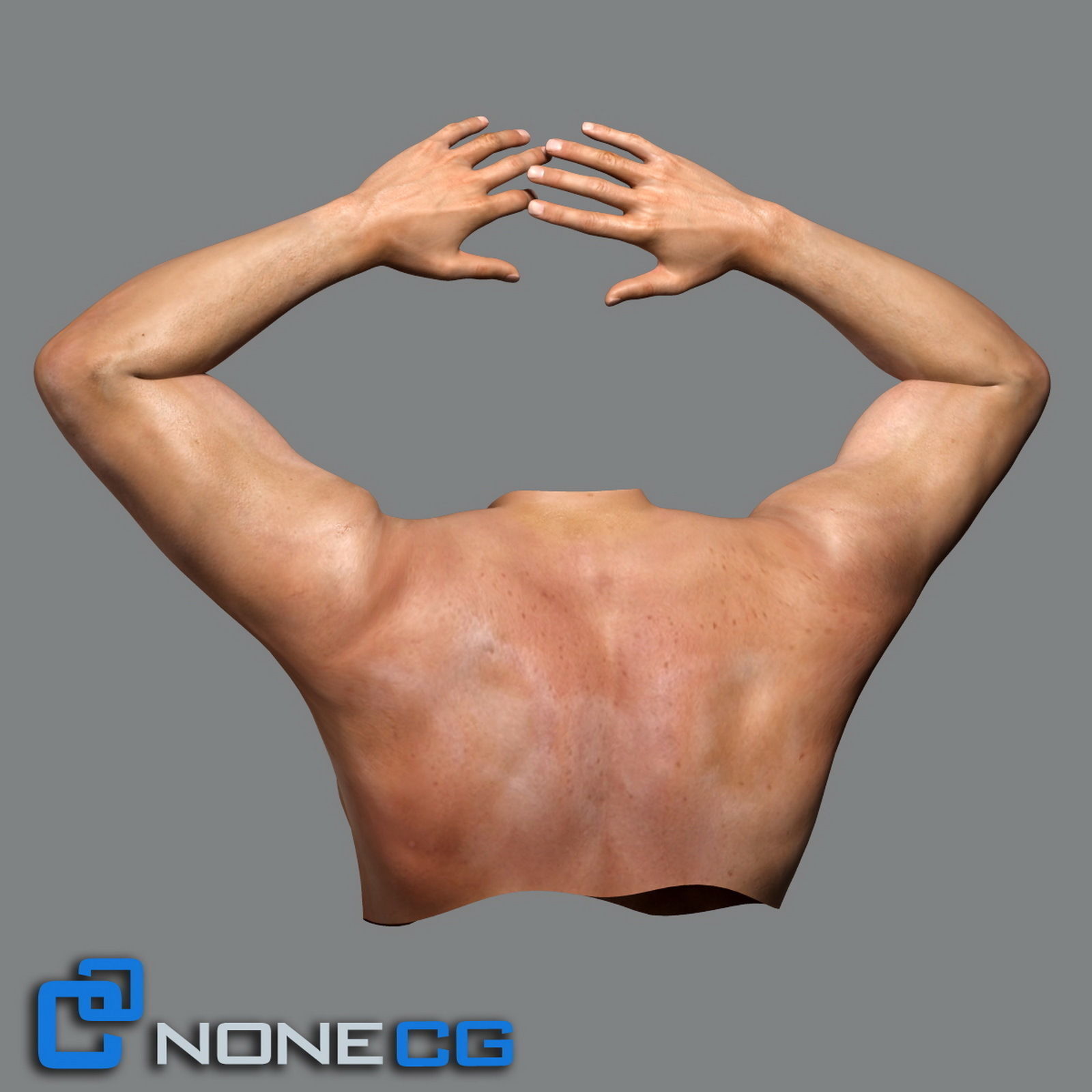 Adult Male Torso Rigged 3D model_6
